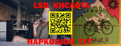 крисы Малгобек