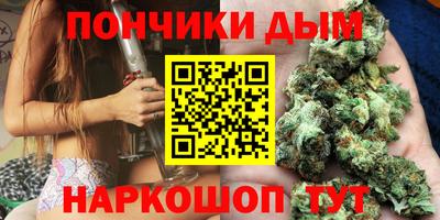 крисы Малгобек