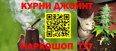 крисы Малгобек