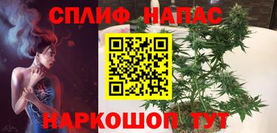 крисы Малгобек