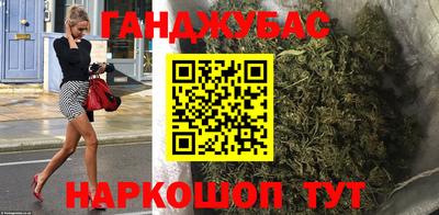 крисы Малгобек